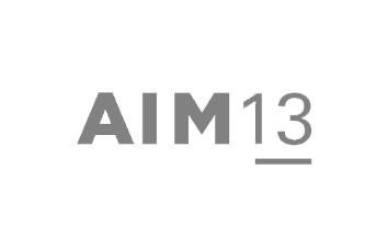 Gray AIM13 Logo.