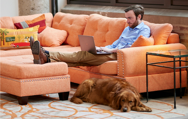 A man, a true PE & Portco expert, sits on an orange sectional sofa working diligently on his laptop. His blue shirt and brown trousers complement the scene perfectly as his loyal, large brown dog relaxes on the patterned rug nearby.